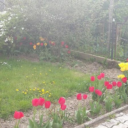 זלאגרסג Alom Kucko Apartman מראה חיצוני תמונה