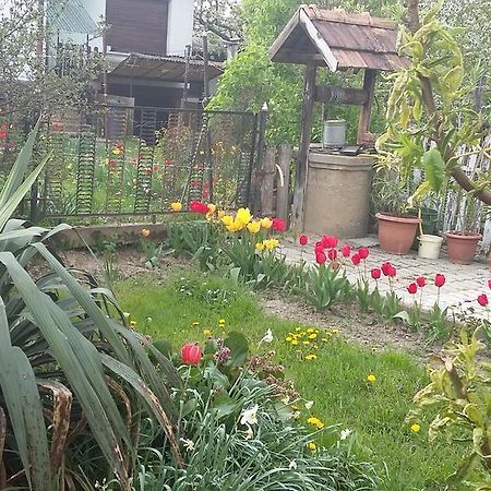 זלאגרסג Alom Kucko Apartman מראה חיצוני תמונה