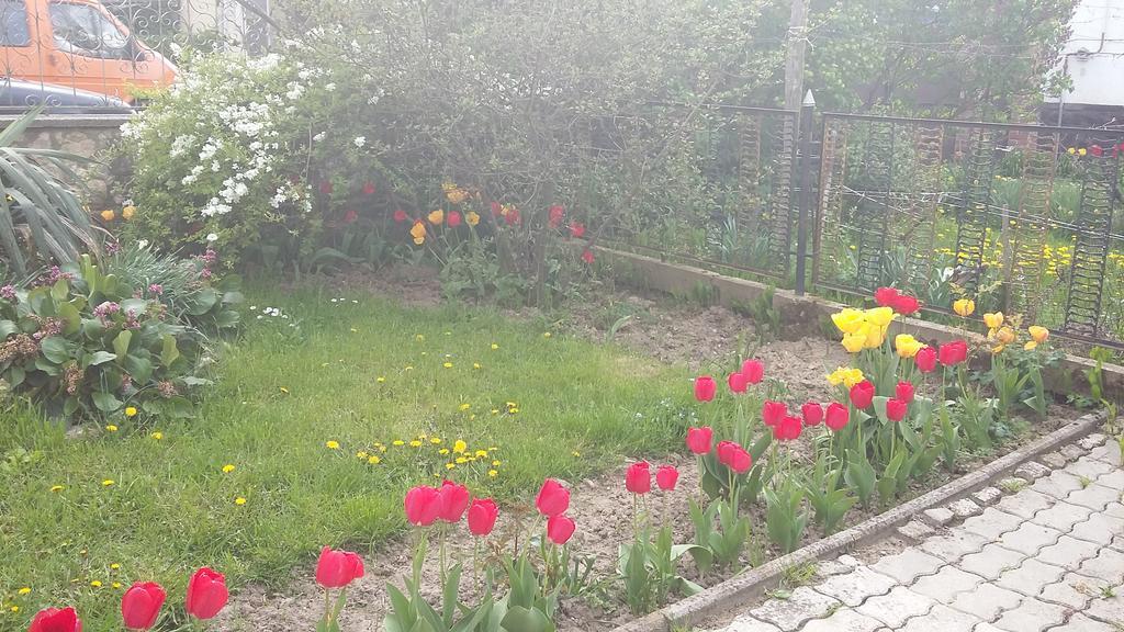 זלאגרסג Alom Kucko Apartman מראה חיצוני תמונה