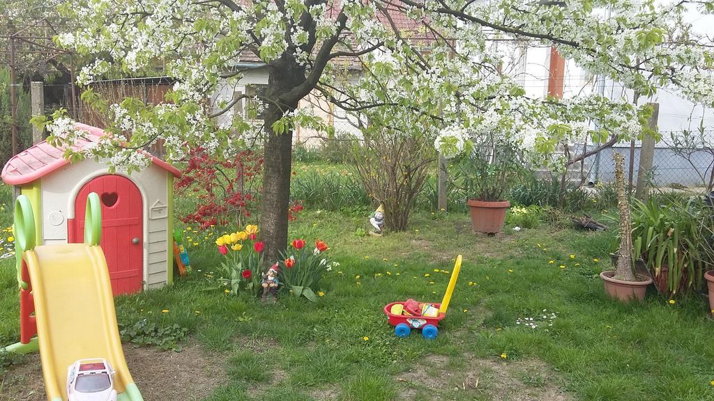 זלאגרסג Alom Kucko Apartman מראה חיצוני תמונה