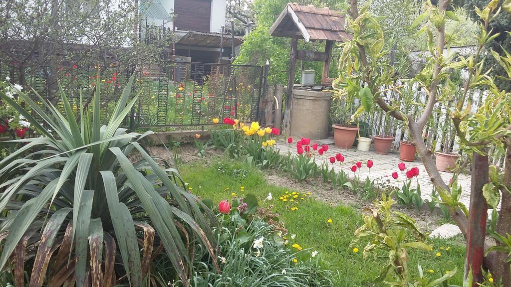 זלאגרסג Alom Kucko Apartman מראה חיצוני תמונה